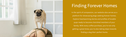 Coffee So Good, It’ll Have Tails Wagging!